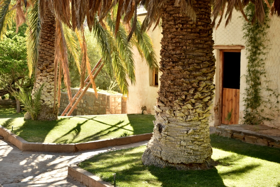 Konka Karoo Guest Farm