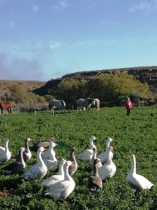 Konka Karoo Guest Farm