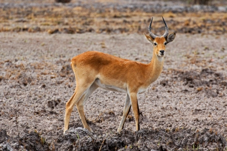 Konka Karoo Guest Farm